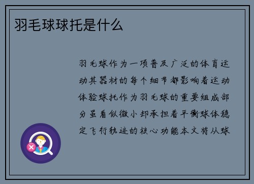 羽毛球球托是什么